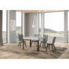 Tavolo allungabile 80x120/204 cm Linea telaio Antracite