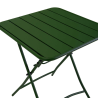 Set Tavolo metallo + 2 Sedie metallo Rovigo verde cm 50x54h42/87