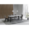 Tavolo allungabile 70x110/194 cm Flame telaio Antracite