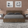 Letto Matrimoniale francese 140x190 cm testata dritta con doghe Ankel