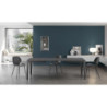 Tavolo allungabile 130/290 x 80 cm Big 80cm X 130/ 290cm H 76cm Stones