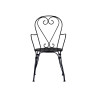 Set 2 Sedie Stresa Moia con braccioli ferro esterno resistente