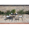 Set 2 Sedie Stresa Moia con braccioli ferro esterno resistente