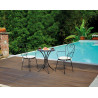 Set 2 Sedie Stresa Moia con braccioli ferro esterno resistente