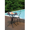Set 2 Sedie Stresa Moia con braccioli ferro esterno resistente