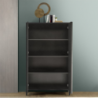 Contenitore Giugi 2 ante nero frassinato 106x40x177
