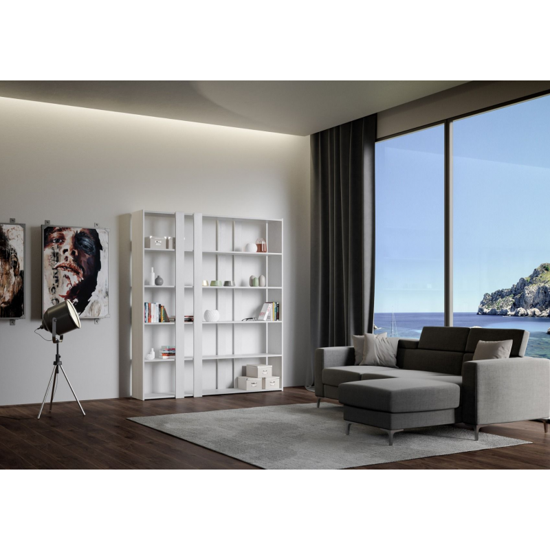 Composizione Libreria A Kato 6R 2 fianchi 4 fasce lunghe