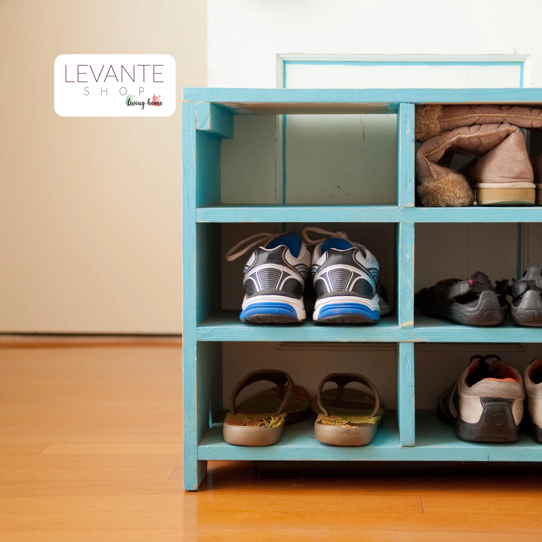 Scarpiere per l'Ingresso, Organizzazione Pratica e Design Moderno